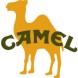 camel
